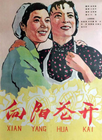 国产一区二区网站